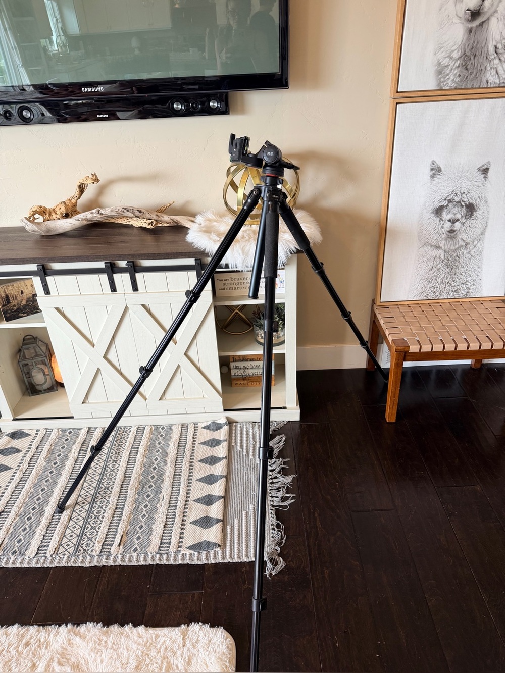 Oben AC-1451 4-Section Aluminum Tripod with PD-117 Pan/Tilt Head